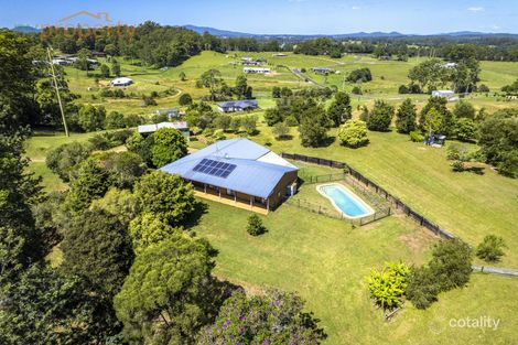 99 Irvines Rd, Newee Creek, NSW 2447