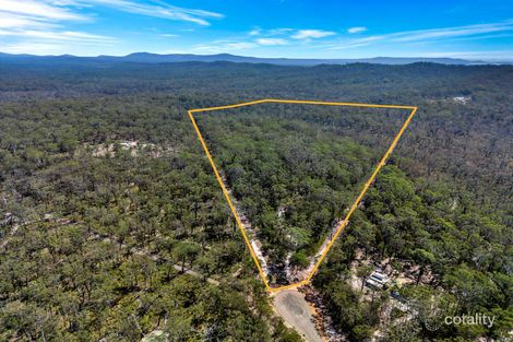 Property photo of 170 Grasstree Drive Taloumbi NSW 2463