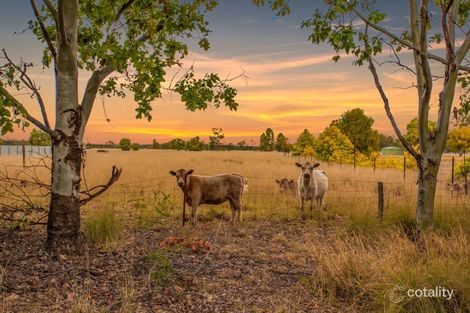 Property photo of 168 Cemetery Road Chinchilla QLD 4413