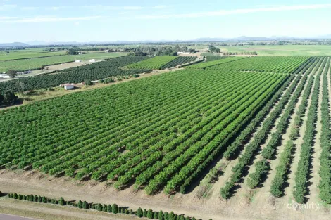 Contact Agent For Address, Mcdesme, QLD 4807