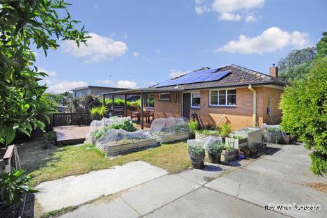 Property photo of 165 Cameron Parade Watsonia North VIC 3087