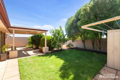 Property photo of 11 Dunbarton Crescent Greenwith SA 5125