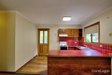 Property photo of 12 Long Road Tamborine Mountain QLD 4272