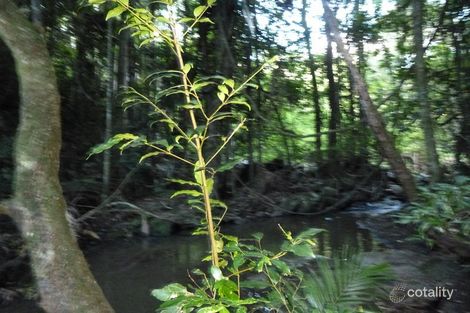 Property photo of 168 Flaxton Drive Mapleton QLD 4560