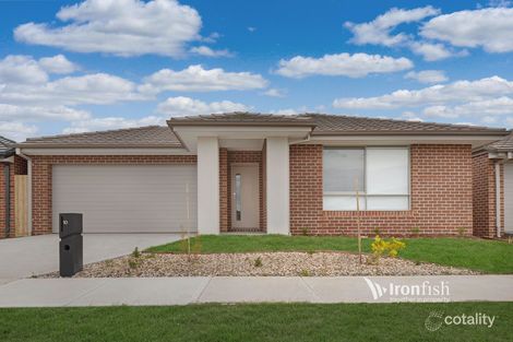 10 Sedge St, Mambourin, VIC 3024