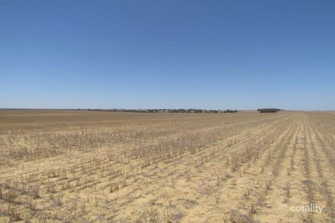 1769 Carot Well Rd, Watheroo, WA 6513