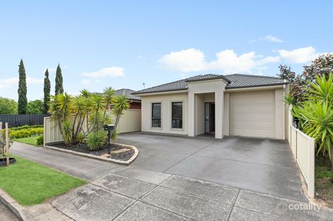 Property photo of 9 Holt Street Netley SA 5037