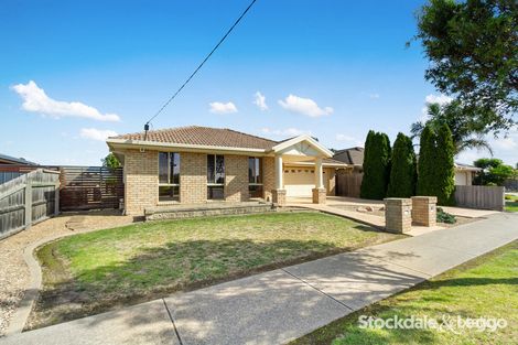 Property photo of 39 Gabo Way Morwell VIC 3840