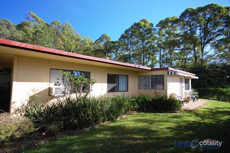 Property photo of 46 Donnellys Road Ridgewood QLD 4563