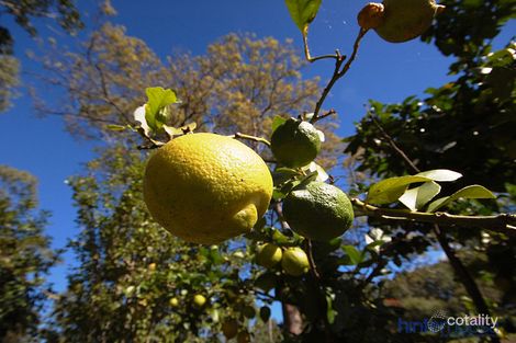 Property photo of 46 Donnellys Road Ridgewood QLD 4563