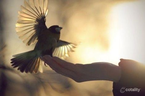 33 Lakefield Cres, Beerwah, QLD 4519