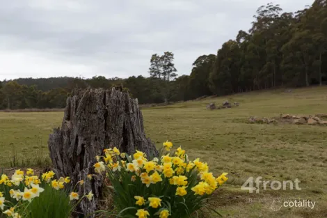 Property photo of 141 Tiers View Road Golden Valley TAS 7304