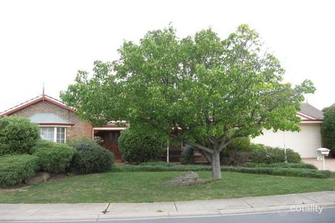 19 Saint Annes Ct, Wynn Vale, SA 5127