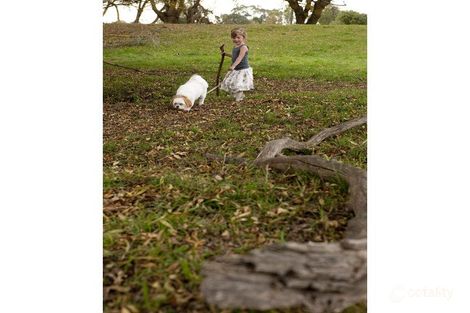 Property photo of 5 Macquarie Parade Meadows SA 5201