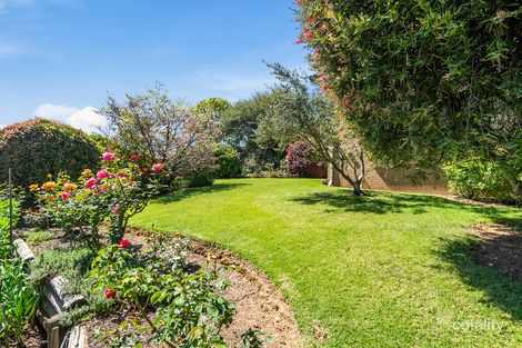 3 Thomas St, Myrtleford, VIC 3737