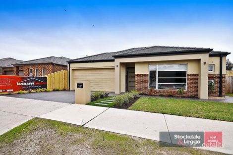 Property photo of 25 Tuross Crescent South Morang VIC 3752