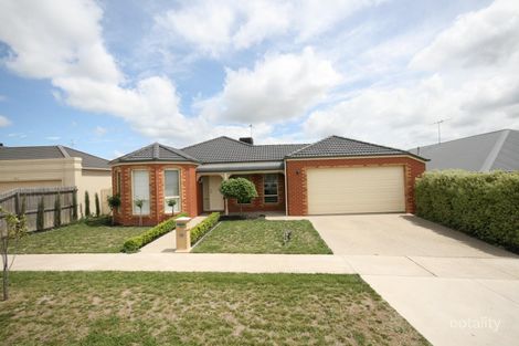 19 Pinto Way, Highton, VIC 3216