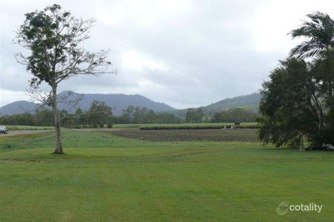 242 Mount Martin Loop Rd, Mirani, QLD 4754