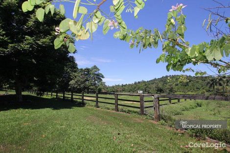Property photo of 573 Bingil Bay Road Bingil Bay QLD 4852