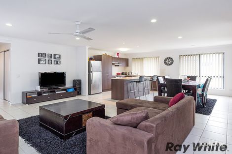 Property photo of 15 Cedarwood Street Berrinba QLD 4117