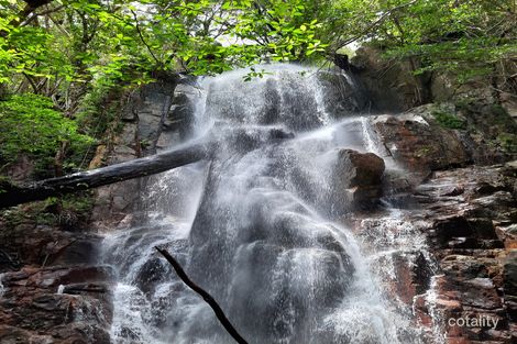 Property photo of 1495 Mount Amos Road Rossville QLD 4895