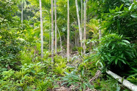 Property photo of 1495 Mount Amos Road Rossville QLD 4895