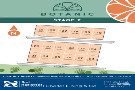 13 Firebrace St, Moama, NSW 2731