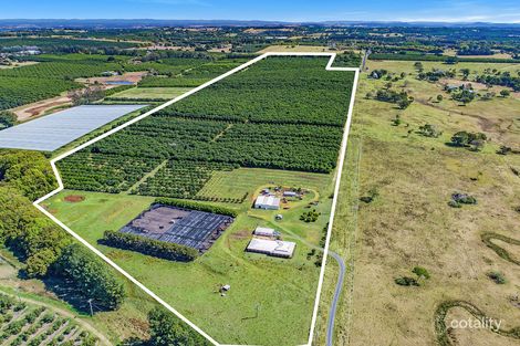 39 Grays Lane, Rous, NSW 2477