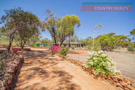 Property photo of 32 Katta Rise Coondle WA 6566