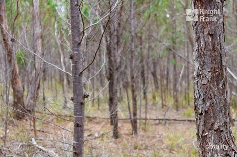 20 Maria St, Pontypool, TAS 7190