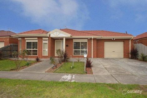 Property photo of 6 Michigan Avenue Broadmeadows VIC 3047