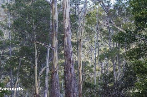 Lot 4 Jacobsons Rd, Judbury, TAS 7109