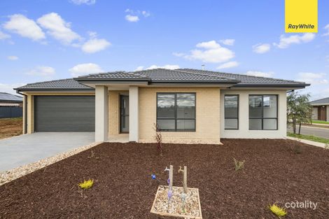 74 Jester Dr, Cobblebank, VIC 3338