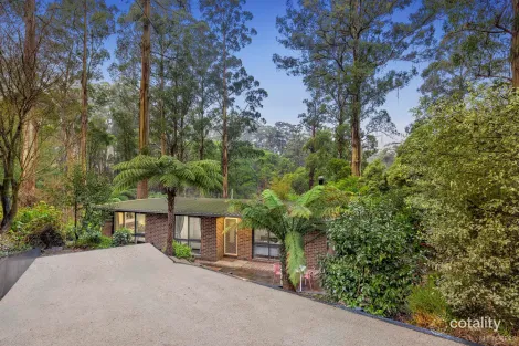 10 Mills Ave, Sassafras, VIC 3787