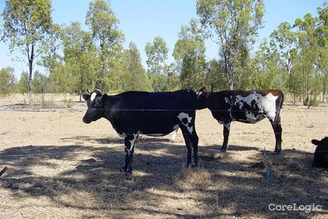 Property photo of 290 Red Gum Road Ducklo QLD 4405