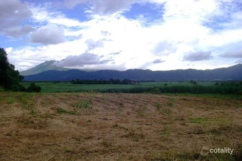 Property photo of 34 De Meio Drive Lower Daintree QLD 4873