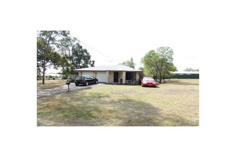 Property photo of 19 Taylor Street Dinmore QLD 4303
