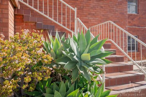 Property photo of 58 McRae Street Hillvue NSW 2340