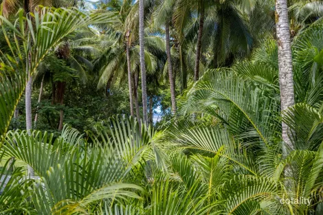 Property photo of 3 Marlin Drive Wonga Beach QLD 4873
