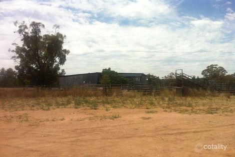 790 Flora Reserve Rd, Bearbong, NSW 2827