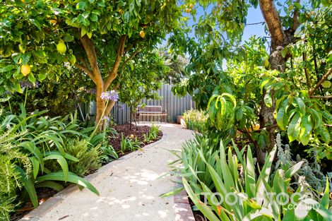 Property photo of 29 Harriet Street West Croydon SA 5008