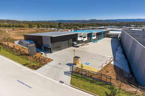 4/36 Accolade Ave, Morisset, NSW 2264