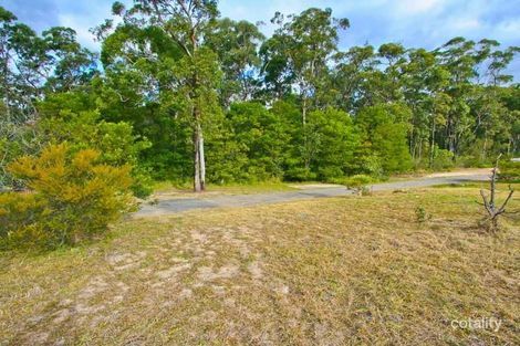 Property photo of 29 Pheasant Street Toronto NSW 2283