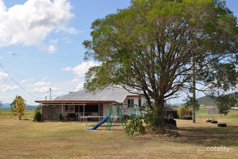 Property photo of 994 Mount Martin Loop Road Mount Martin QLD 4754