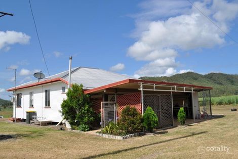 Property photo of 994 Mount Martin Loop Road Mount Martin QLD 4754