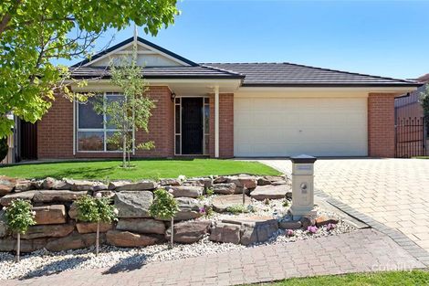 13 Worthing Dr, Sheidow Park, SA 5158