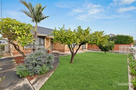 Property photo of 64 Alexander Avenue Campbelltown SA 5074