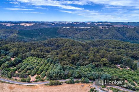 Property photo of 2045 Preolenna Road Preolenna TAS 7325