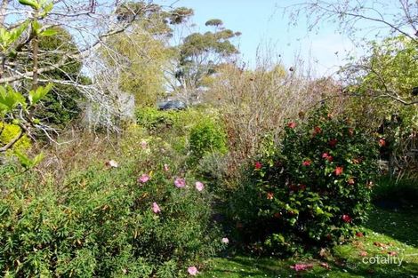 Property photo of 10 Mountainview Avenue Ventnor VIC 3922