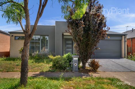 8 Scotney Rd, Craigieburn, VIC 3064